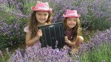 Solar Cowboys give up! Thanks to BBC Watchdog Mis-selling Exposé